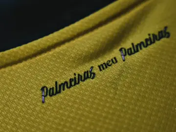 é você #palmeiras #manchaverde #libertadores #brasileirao #fypシ゚viral 