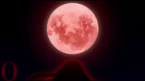 #vampire #anime #hellsingultimate #fyp #edit 