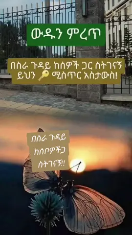 #CapCut በስራ ጉዳይ ከሰቦውችጋ ስትገናኝ#viralvideo #ethiopian_tik_tok 