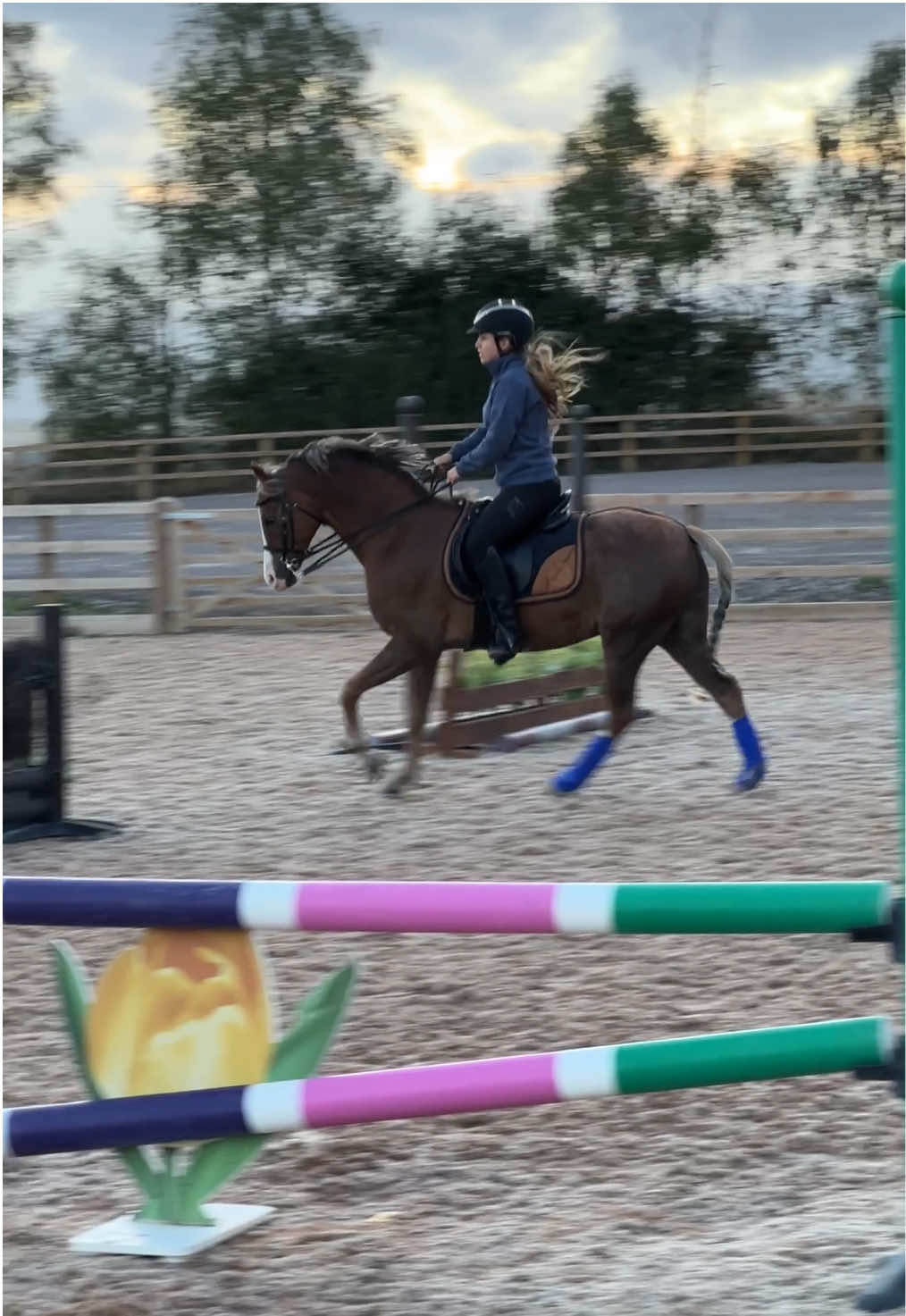 First stay away with Elfie ✅🥰 #welshpony #equestrianinfluencers #equestrian #horserider #creatorsearchinsights 