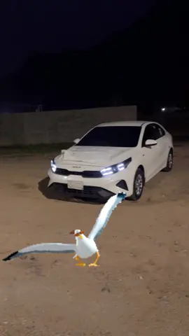 يكفيني حبي يصحابي #pppppppppppppppp #pppppppppppppppp #greenscreenvideo 