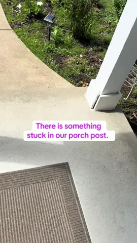 What animal is stuck in our porch post? #animalrescue 