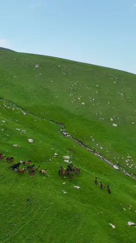 Kyrgyzstan 🍀💚