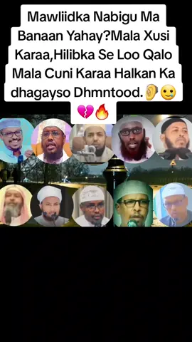 Mawliidka Nabigu Ma Banaan Yahay?Mala Xusi Karaa,Hilibka Se Loo Qalo Mala Cuni Karaa Halkan Ka dhagayso Dhmntood.🦻🥲💔🔥#foryou #somalitiktok #viral #islamic_video #fyp @محمد باشي 