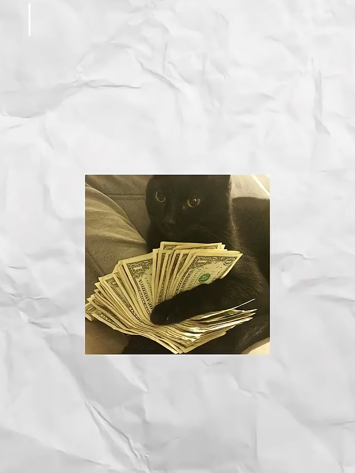 Formas poco éticas de ganar dinero explicadas por gatitos #gatos