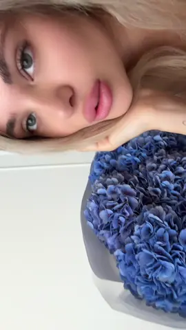 #rek 