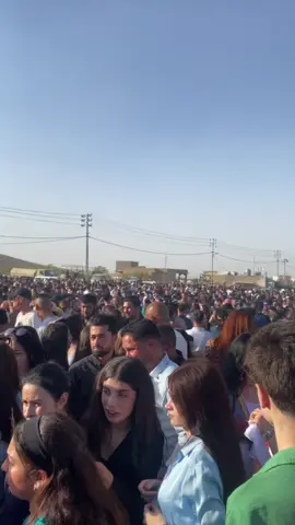 بيشن مشالله  خودي ايزديا بستريني ❤️🦚