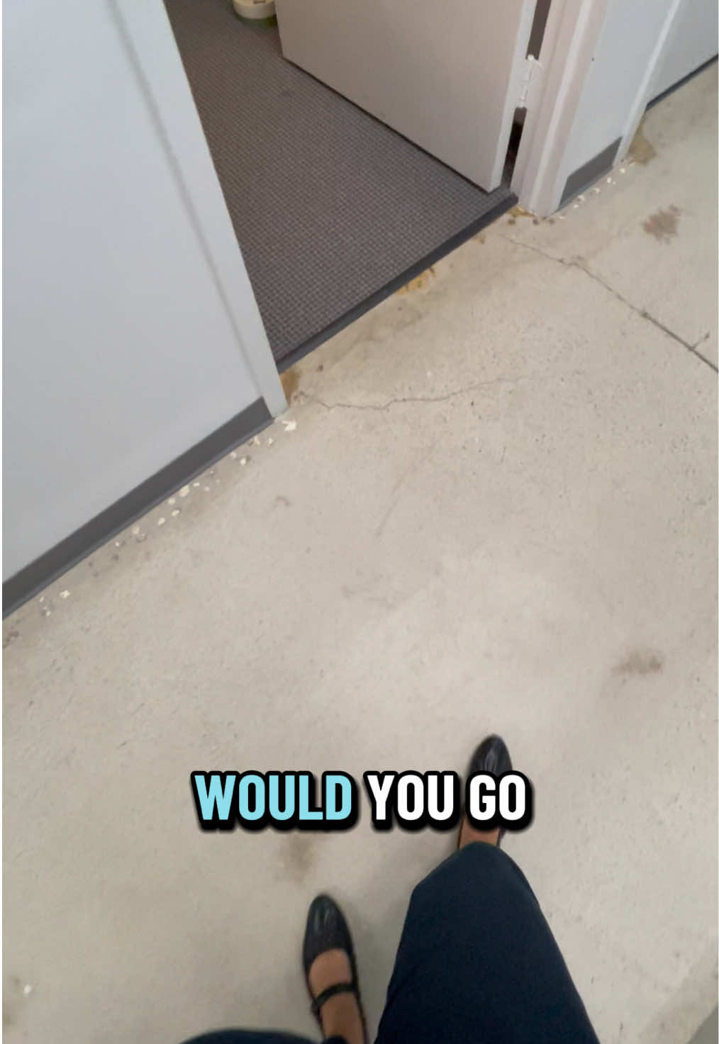 Would you? #therapydog 