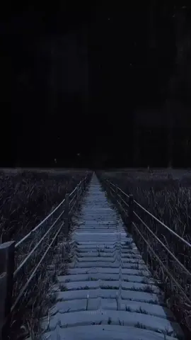 #pregacao #reflexão #statuscristao #palavradodia #testemunhosfortes 