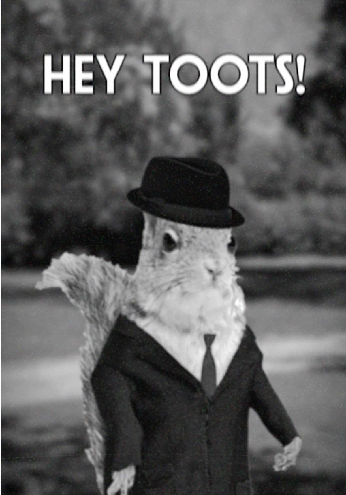 detective whiskers o’conner is on the case!!