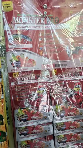 #MONSTERPRO #BIMAPOWER #DRAGONSN #sasanangapakpurwokerto 
