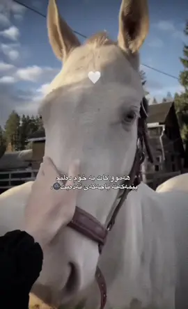 9:49🌚,, #foryou #tiktok #actives? #hauler 