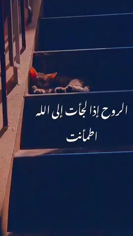 هَوِّن على قلبي يا اللّه فقد ضاق كل شيء . . . . #يارب_فوضت_امري_اليك #اللهم_صل_وسلم_على_نبينا_محمد #يالله_ارحمنا_برحمتك_ياارحم_الراحمين #الحمدالله_علی_کل_حال❤ _عظيم #