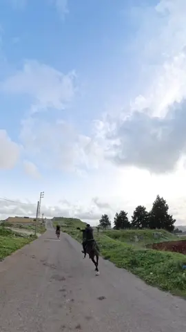 #الخيل_معقود_في_نوصيها_الخير❤✔ #خيل_وخياله🐎 #foryou #viral #fyp #horsewoman #خياله🐎 #لبنان_مصر_الخليج_سوريا @Zeftaridingclub 