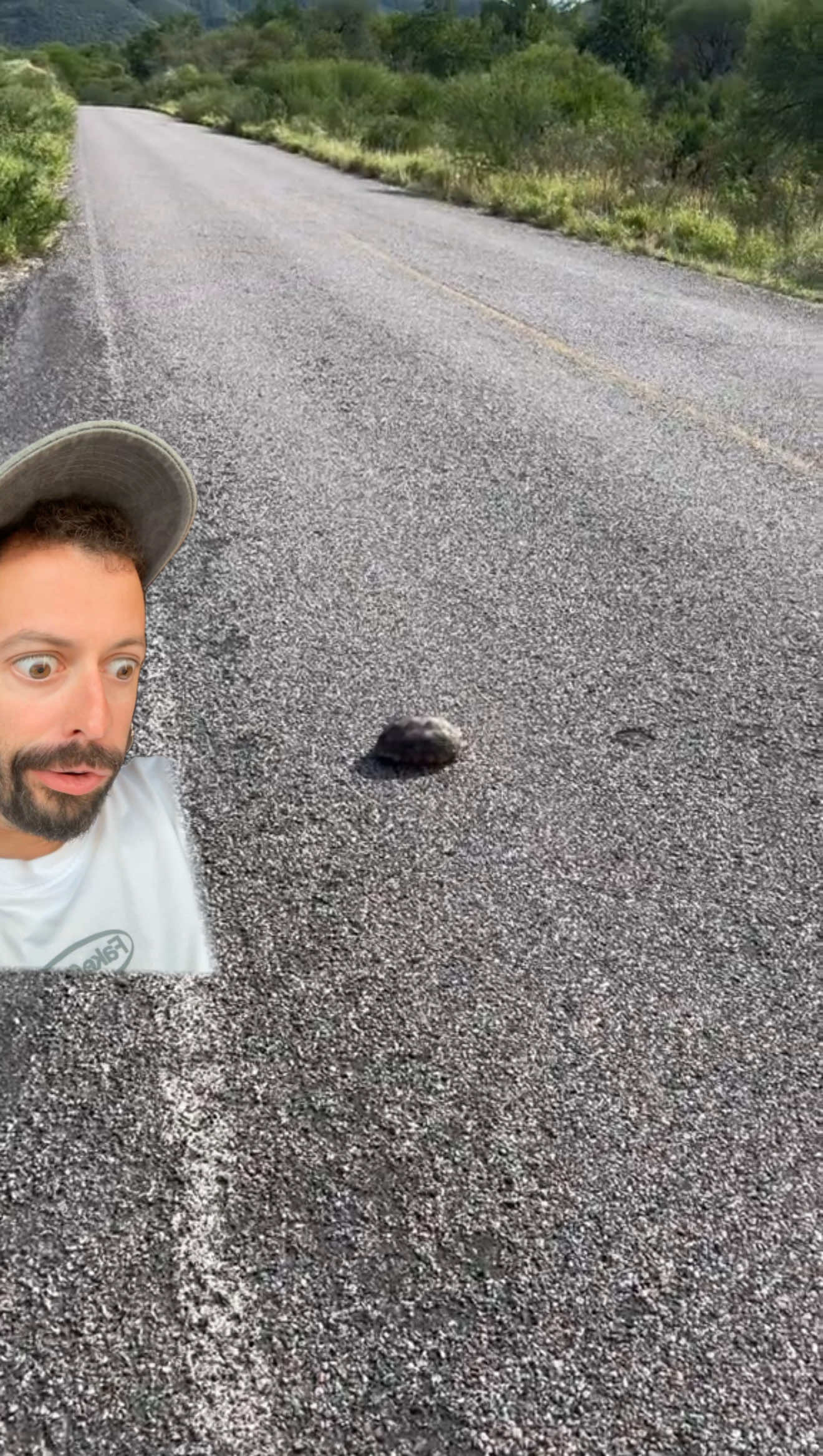 A punto estuve de sacar mi lado oscuro. — La tortuga 🐢 