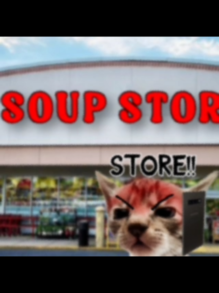 AM AT THE SOUP STORE #cat #elgatito #foryou #fyp #meme 
