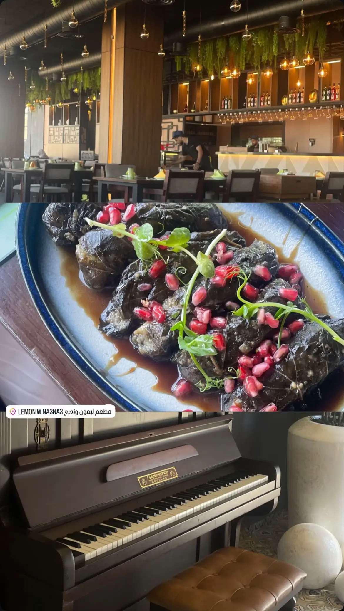 #جامعة_النجاح_الوطنية #نبلوسه  #explore #fypシ 