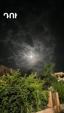 ##Davidromantika #hoktemberyan #Rekkk #rekomendasi 