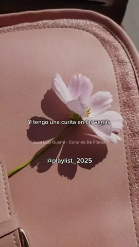 #juanluisguerra #coronitadeflores #aesthetic #bachata #paradedicar 