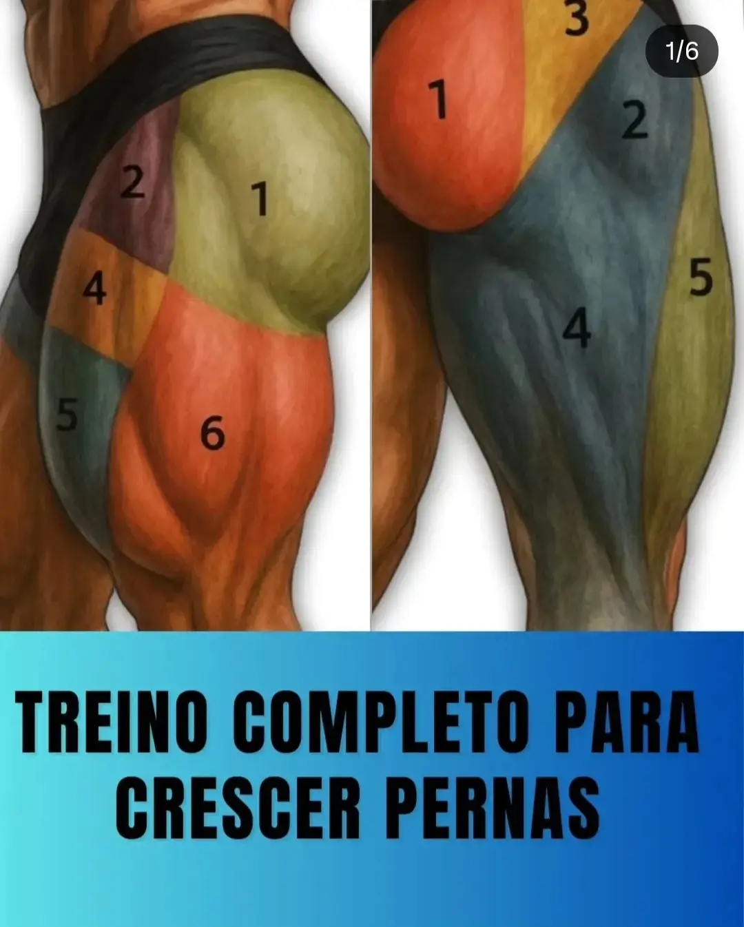 🏋️‍♂️ Quer crescer perna de verdade? 🔥 Treino COMPLETO dividindo cada músculo: ➡️ Quadríceps ➡️ Posterior ➡️ Glúteo / Adutores ➡️ Panturrilha 💥 Salva esse vídeo e nunca mais treine perna errado! #treinodeperna #pernasgrossas #hipertrofia #academia #foconadieta 