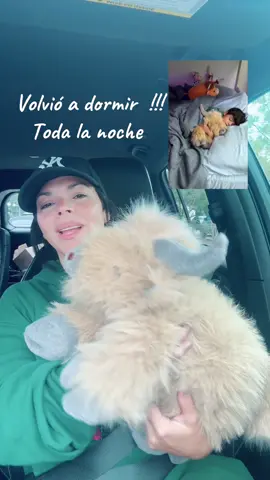 #mamá#hijos#momlife#mascotas#peluche#tips#paratiiiiiiiiiiiiiiiiiiiiiiiiiiiiiii#foryou#tiktokmom#trending#parami#yo#tu#amigas#consejos#mama#dormir#bienestar#hoy#toddler#tiktokshop#video#parati#mascota
