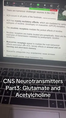 What are the functions of Glutamate and Acetylcholine in the CNS