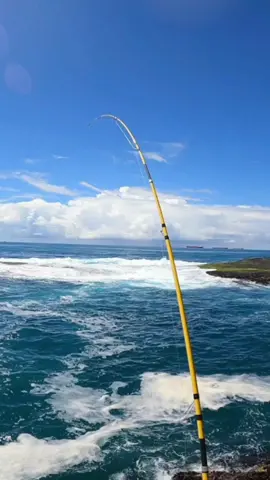 A buraca estava FERVENDO de peixes famintos, atacavam tudo que caia na água. 