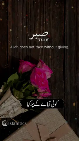 #CapCut #viral_video #1millionaudition #foryoupage❤️❤️ #islamicmotivation 