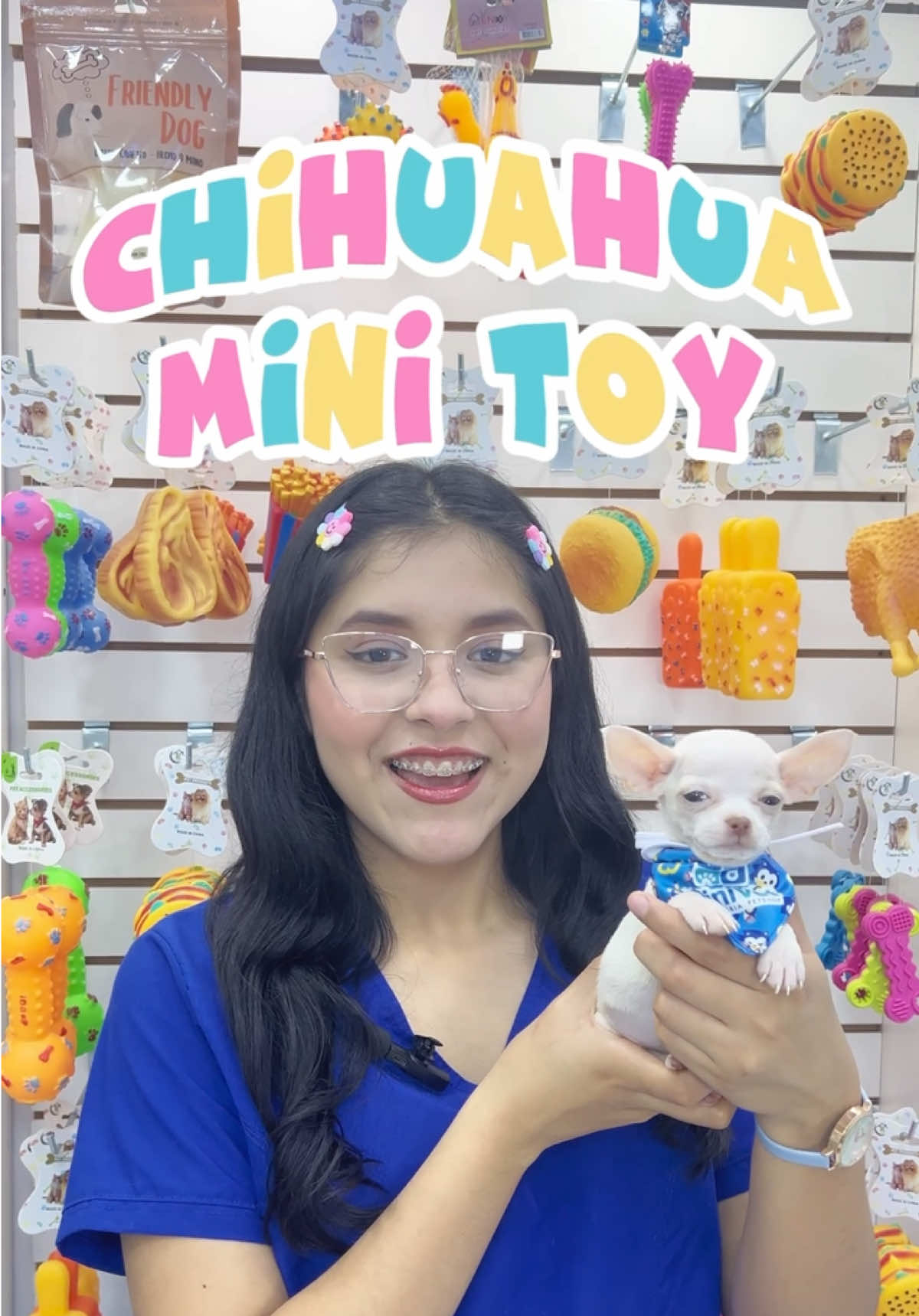 ✨ ¿Quieres un #chihuahua mini toy y no sabes donde buscar? 👀💗 En Veterinaria Clinivet contamos con estos hermosos pequeñines que están listos para ir a tu hogar 🏠🐾 Contáctanos para que encuentres a tu Chihuahua Mini Toy que tanto deseabas 💖🤗 #chihuahuasoftiktok #chihuahua #viral #flyp #mascotas #chaparrita #pets #tiktokpets 