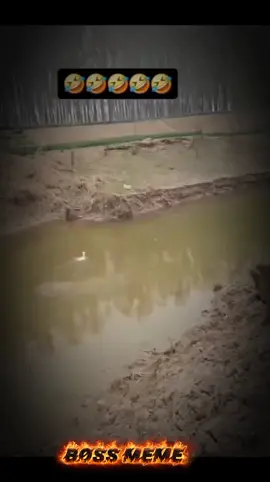 ወጣ በል ወደዚህ  . .#creatersearchinsights #viraltiktok #foryoupage #ethiopian_tik_tok🇪🇹🇪🇹🇪🇹🇪🇹 #afar3amo🇪🇹⚔️🇪🇷⚔️🇩🇯 