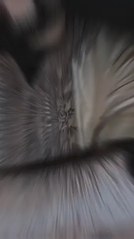 #CapCut سفني سفني صافي امعاك انت أنا تبعت زينيك وانت خرجتي اعليا #🙍‍♀️ #😂😂😂 #❤❤❤ 