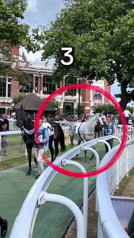 My first horse racing experience recap (Deauville, France, August 2025) #umamusume #deauville #goldship #horse #haruurara