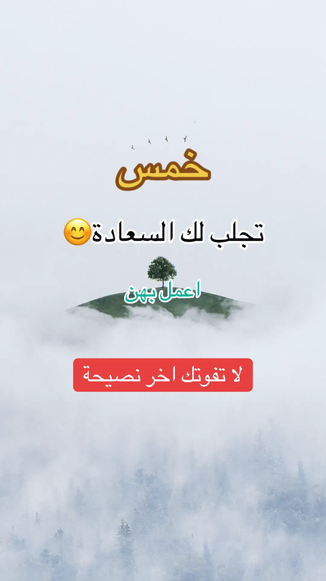#creatorsearchinsights #foryou #tiktokindia #كلام_جميل 