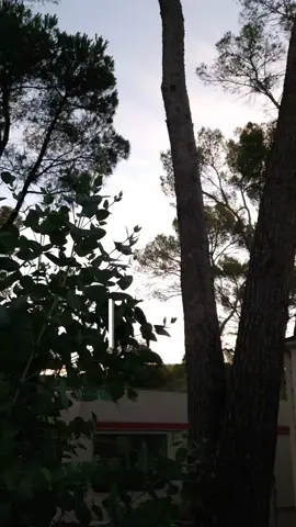 Je vais en prison avec ce vlog les gars. Oh, sapristi ! Il y a un bateau qui a mis les voiles sans son capitaine et un autre qui a pris un coup de soleil, c'est une véritable débandade ! ​Franchement, quelle journée de malade vous allez voir ! On est partis super tôt de Fréjus pour une excursion en bateau direction le mythique port de Saint-Tropez. Le trajet sur l'eau était juste incroyable, avec une vue de dingue sur la Côte d'Azur. Vous allez kiffer les paysages, c'est promis. Arriver par la mer comme ça, ça met direct dans l'ambiance des vacances dans le Var, c'était une expérience à vivre au moins une fois. 🚤 ​Une fois à Saint-Tropez, l'aventure a vraiment commencé. On s'est baladés sur le port, au milieu des yachts de luxe et des voiliers, c'est un autre monde. Le moment le plus improbable, c'est quand on est passés devant l'ancienne Gendarmerie, un lieu de tournage légendaire. J'ai aussi partagé un moment trop cool avec ma grand-mère en dégustant la véritable Tarte Tropézienne. On a même croisé un yacht qui avait visiblement eu un petit problème technique... disons, un peu 