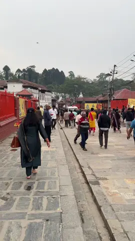 every hindu of the world knows the value of this temple, Pashupatinath, temple of Majadev 🕉️🕉️ #fyp #foryou #foryoupage #fypシ゚viral #fypシ 