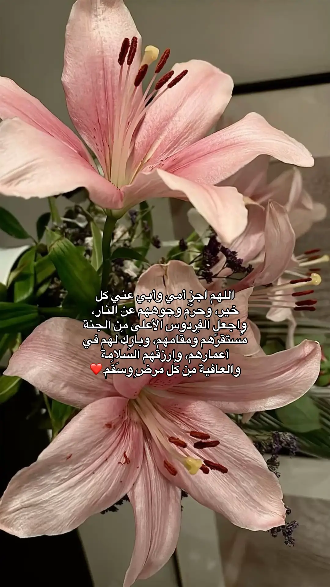 #قران_كريم #جمعة #اجر_لي_ولكم #محمد_اللحيدان #اكسبلورexplore 