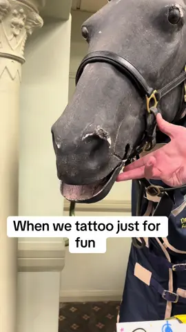 When we just tattoo for fun #tattoo #uktattooartist #tattooideas #fyp #legtattoo 