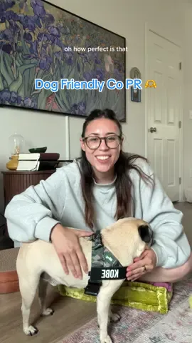@dogfriendlyco sent my dog PR and it’s the cutest thing ever 🥹 they gave us the code KAITLYNVENTENILLADF for 15% off! 💙 #microinfluencer #howtogrowontiktok #microinfluencertiktok #dogaccessories #dogfriendly 