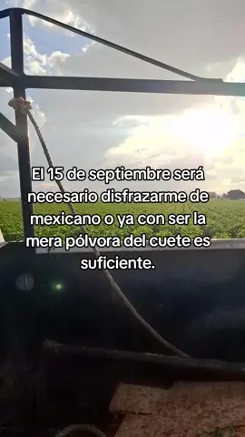 🤔🤔🤔 #campo #amor #fyp #family 