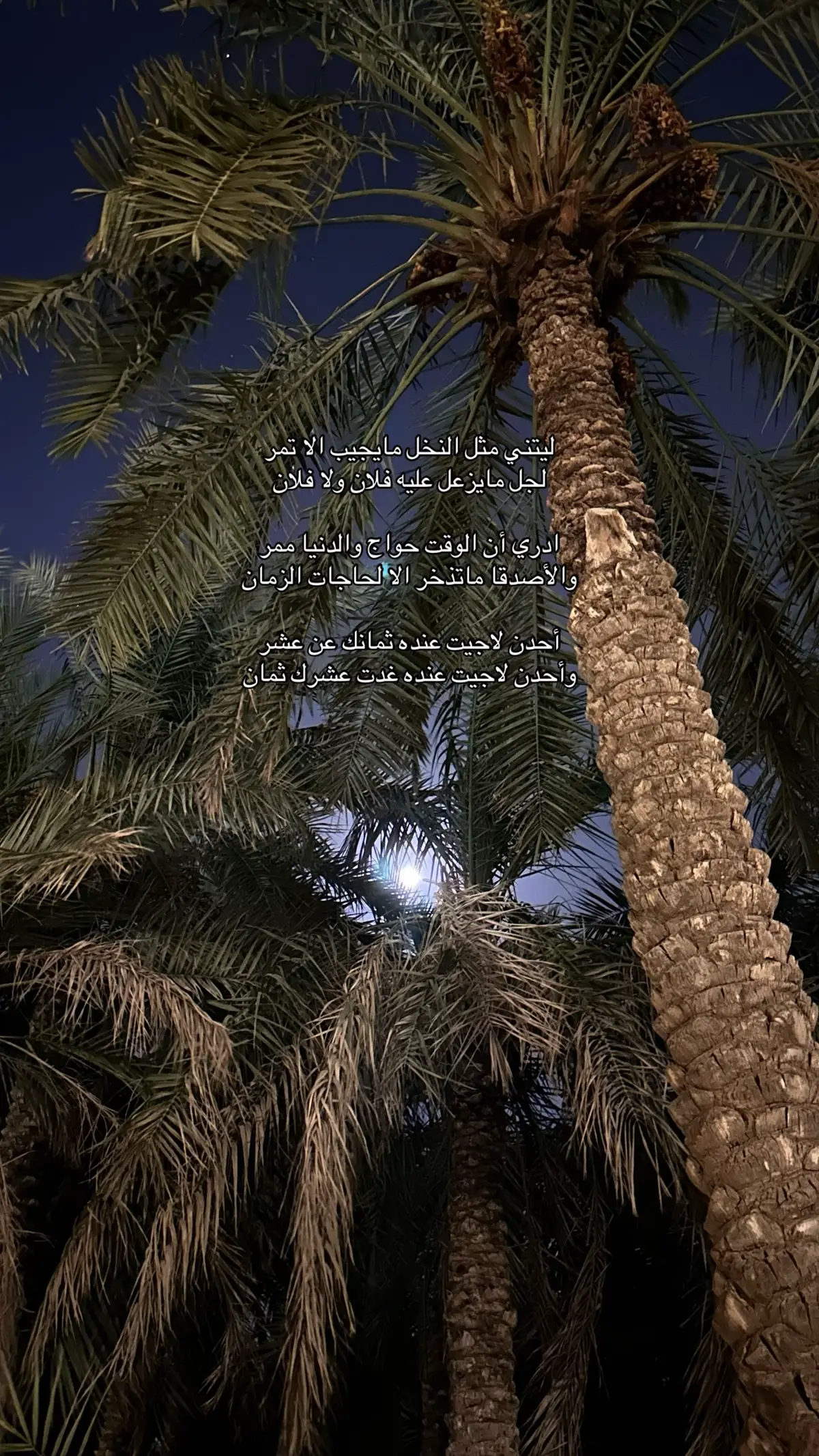 #سعد_بن_جدلان #اكسبلور 