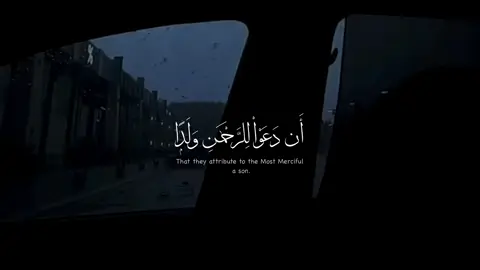 #عبدالرحمن_مسعد #quran 