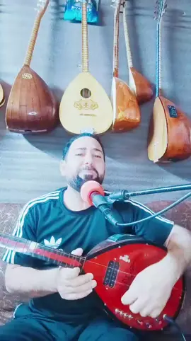 #tiktoklive #livehighlights #لالش_نوراني_ايزدخان_🦚❤️🌞🙏 