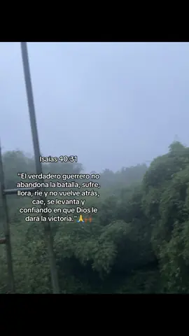 🙌🏾🙏📈