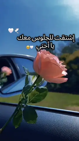 #LIVEIncentiveProgram #MyLIVEJourney #PaidPartnership  #شعب_الصيني_ماله_حل😂😂 #هاشتاقات_تيك_توك_العرب 