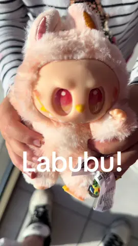 We finally got ahold of a Labubu#labubu 
