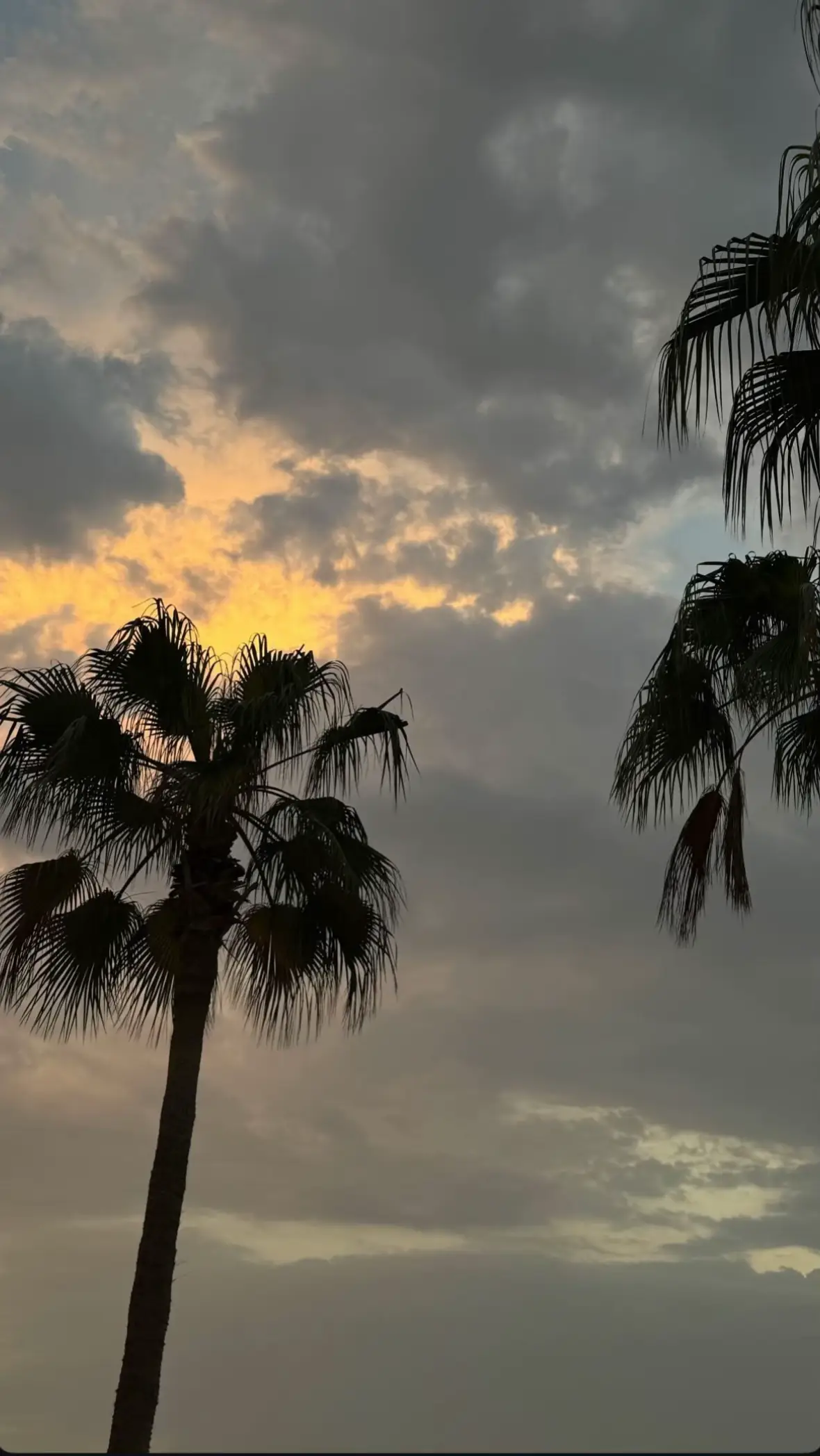 #الشعب_القطري_ماله_حل🇶🇦🤍 #اكسبلورexplore #foryou #قران_كريم #