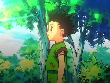 eu acho um crime q versão de 2011 tenha tirado essas cenas do Gon com o Kon  @🌈ꪑysterion q ama Eyeshield 21  #hxh #gon #foryoupage #edit #anime @TikTok @TikTok Brasil 