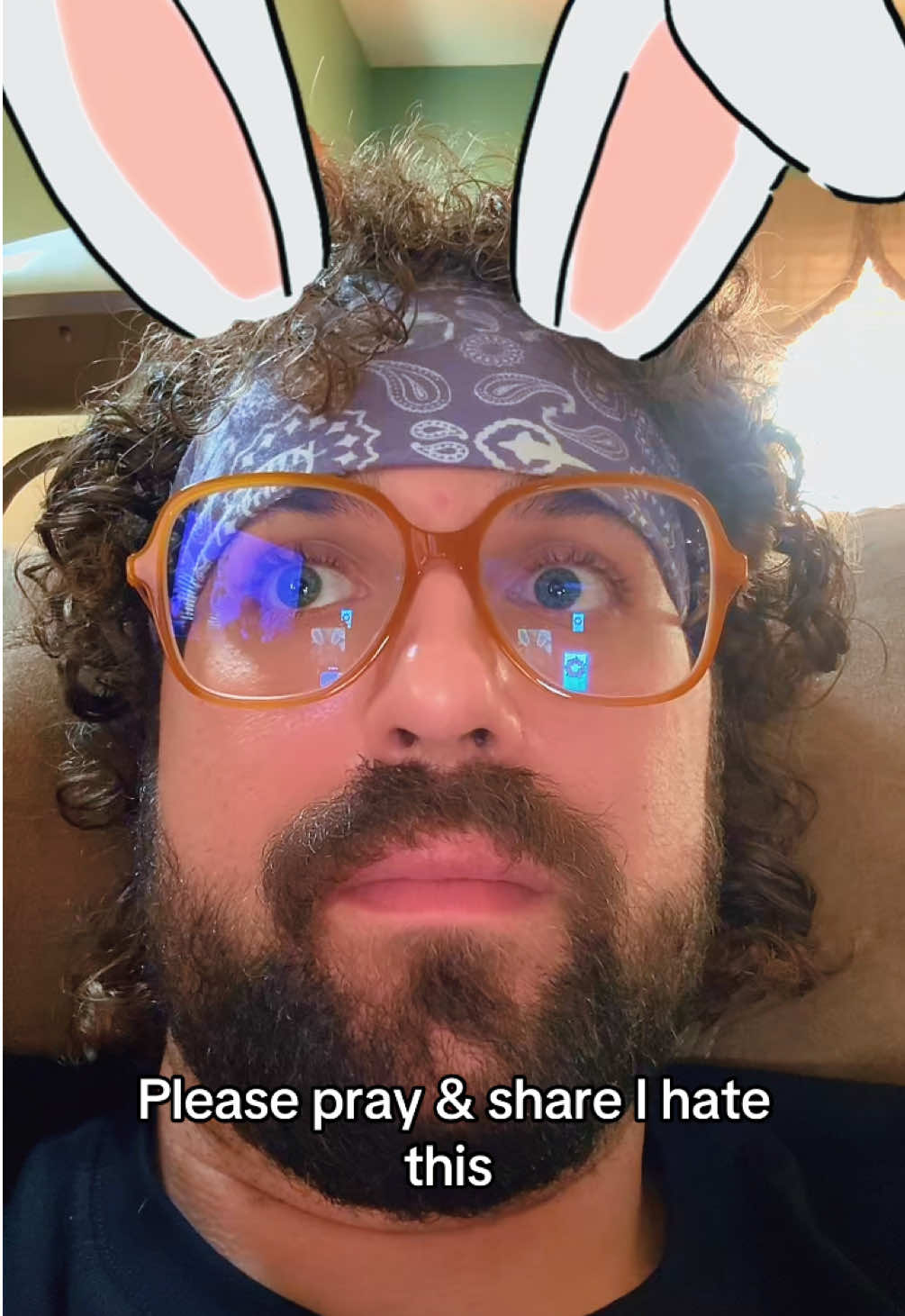 🐇🐰