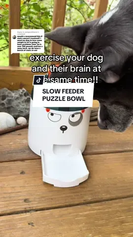 Replying to @midgenxliberal  . No stairs needed!! This slow feeder puzzle can be set up for 80 feet so you can have your Pup walking laps for weight loss while also exercising their brain!🧠 🐶👀💕 . get your dog moving, click link to see current deal . #slowfeeder #dogslowfeeder #puzzlefeeder #slowfeederbowl 