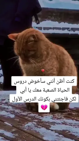 #ترند 💔💔💔💔#ترند @مهرة الفرجاني. 